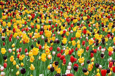 Insomniac确认《漫威蜘蛛侠2》不是合作游戏