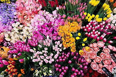 Paradox Interactive 2023发布会将于3＆7举行